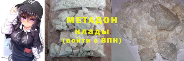 прущие грибы Пестово