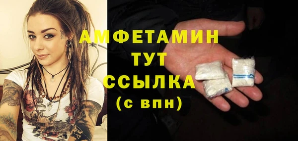 гидра Покачи