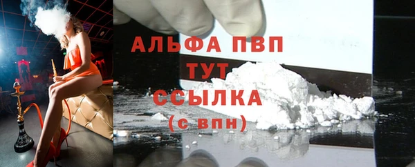 прущие грибы Пестово