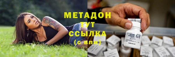 прущие грибы Пестово