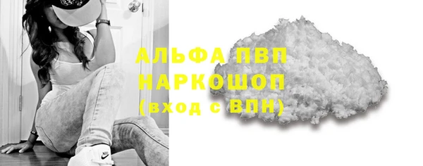 прущие грибы Пестово