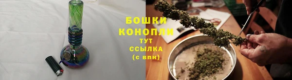 прущие грибы Пестово