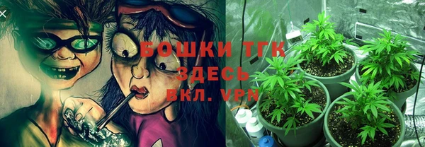гидра Покачи
