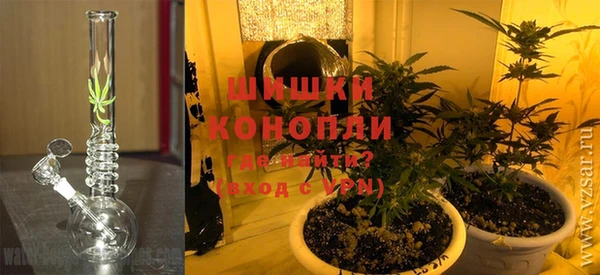 прущие грибы Пестово
