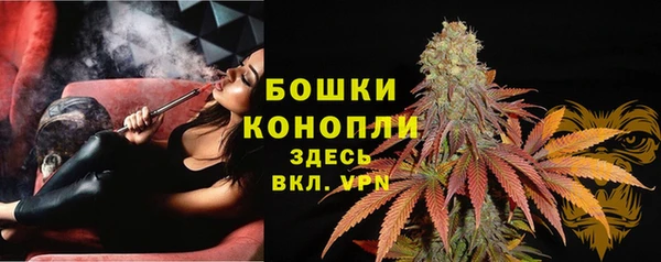 гидра Покачи