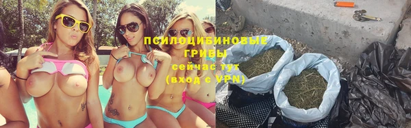 гидра Покачи
